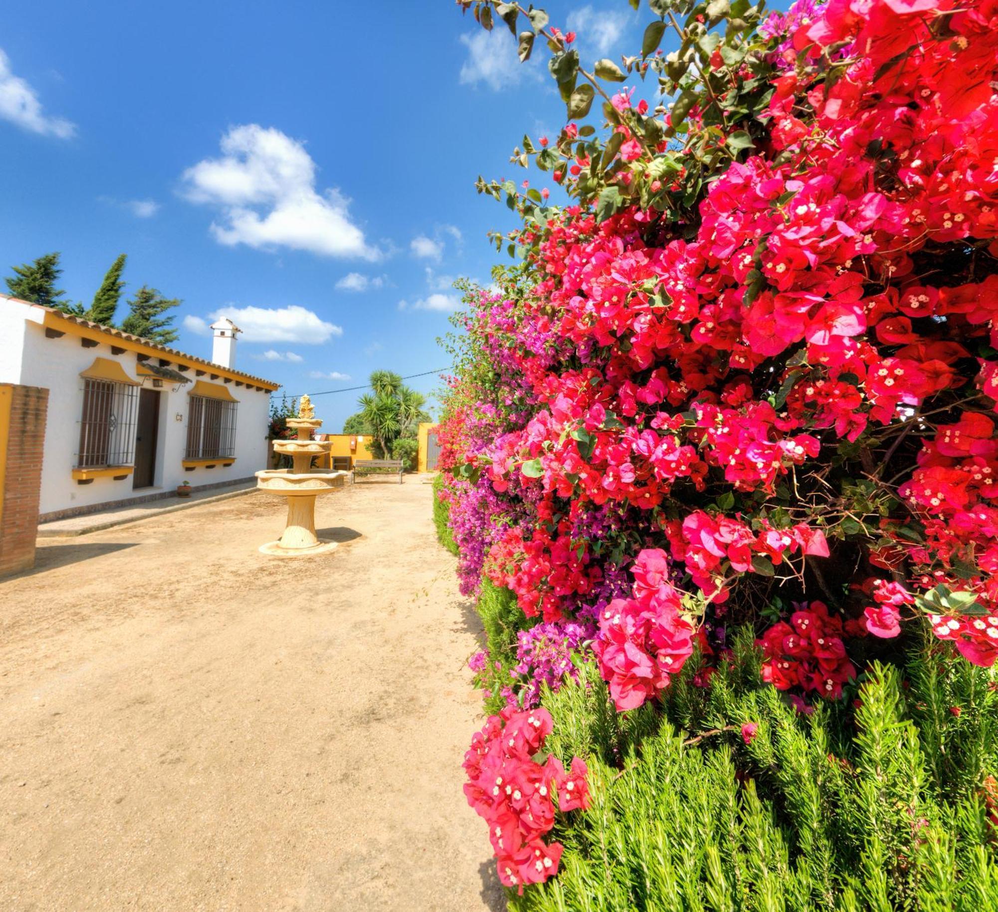 Hacienda Los Majadales Кониль-де-ла-Фронтера Экстерьер фото